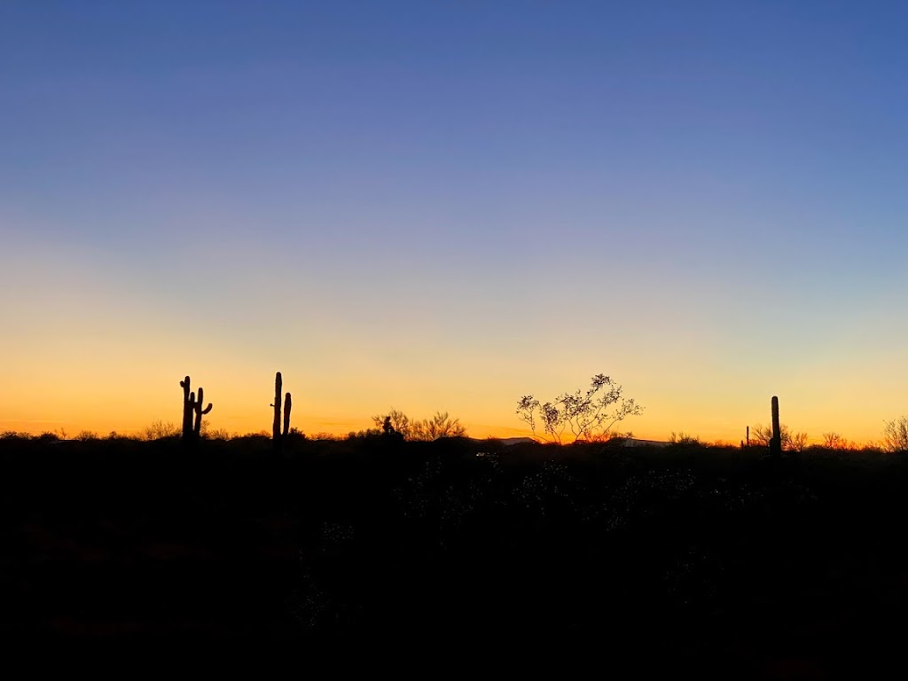 Cactus Hills Alpaca Farm | 40406 N 6th Ave, Phoenix, AZ 85086, USA | Phone: (503) 997-8120