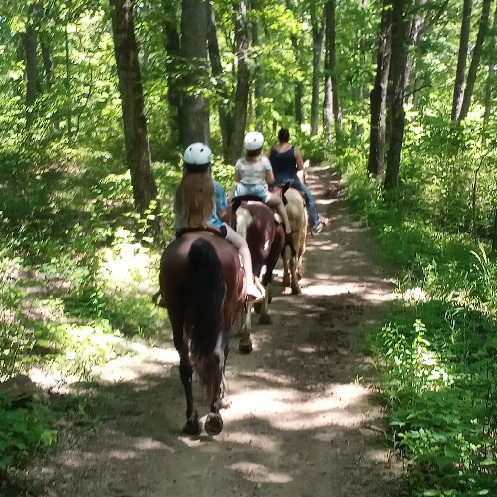 Guided Trail Rides LLC | 1418 IN-101, Liberty, IN 47353, USA | Phone: (765) 618-4835