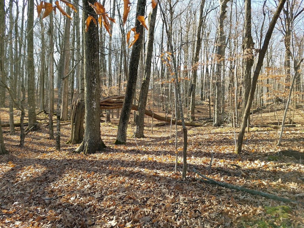 Cedarburg Bog State Natural Area | WI-33, Saukville, WI 53080, USA | Phone: (262) 675-6844