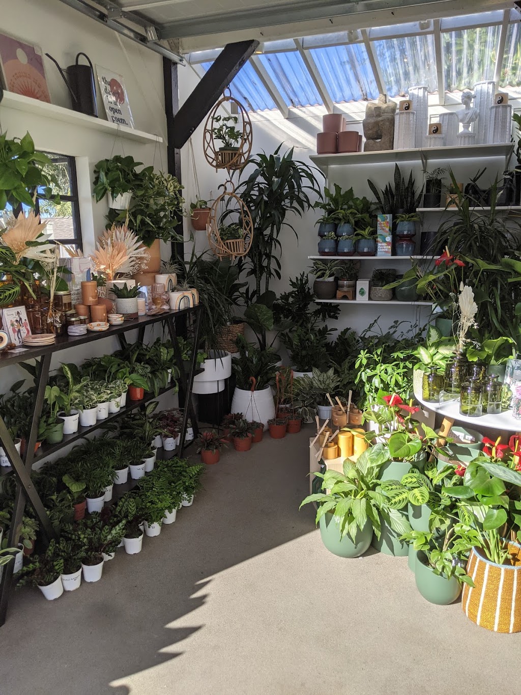 Landmark Plant Co. - Encinitas | 495 Leucadia Blvd, Encinitas, CA 92024, USA | Phone: (760) 634-7688