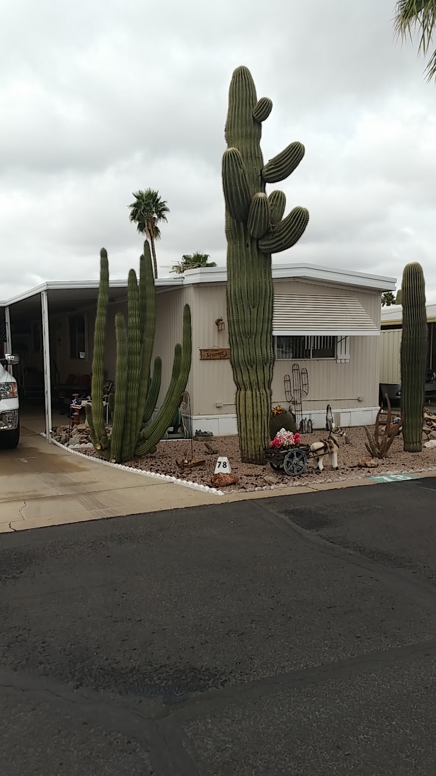 Palms Mobile Home Park | 1050 E Broadway Ave # 64, Apache Junction, AZ 85119, USA | Phone: (480) 982-4856
