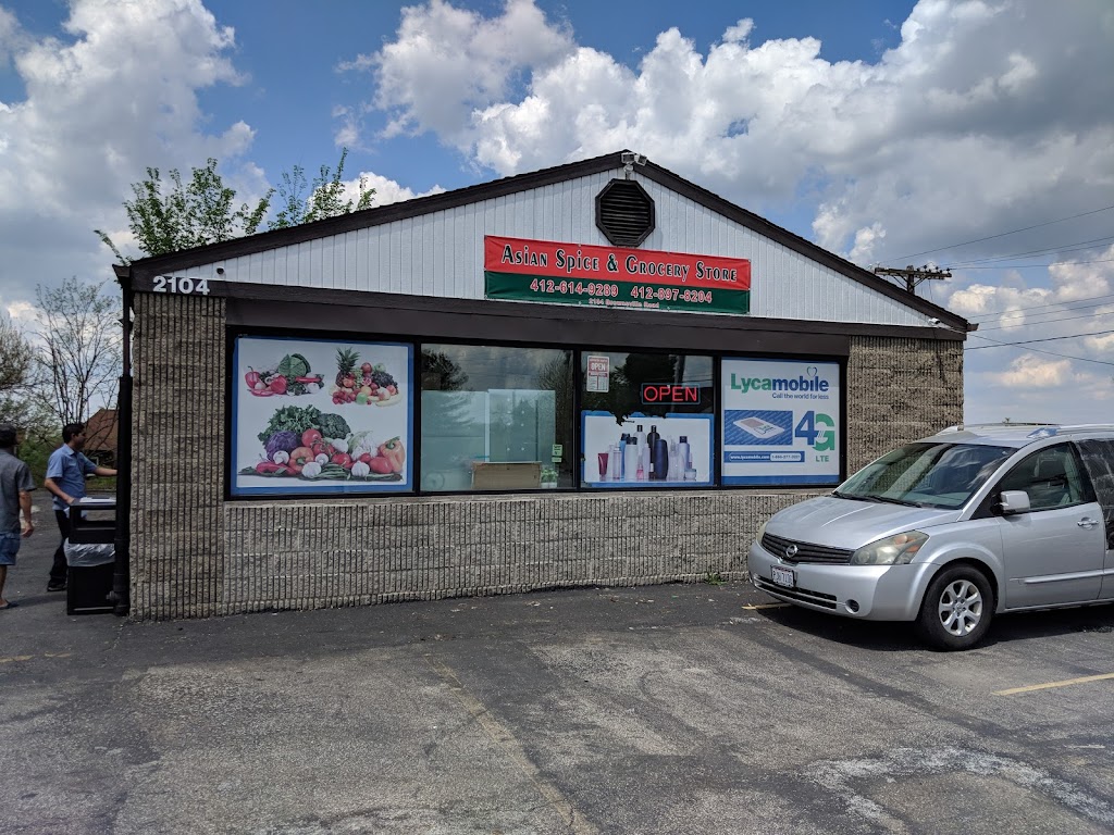 Asian Spice & Grocery Store | 2104 Brownsville Rd, Pittsburgh, PA 15210, USA | Phone: (412) 614-9289