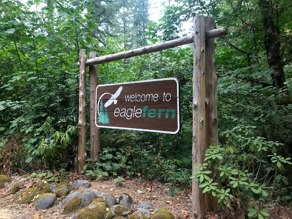 Eagle Fern Camp | 37700 SE Camp Rd, Estacada, OR 97023, USA | Phone: (503) 630-4978