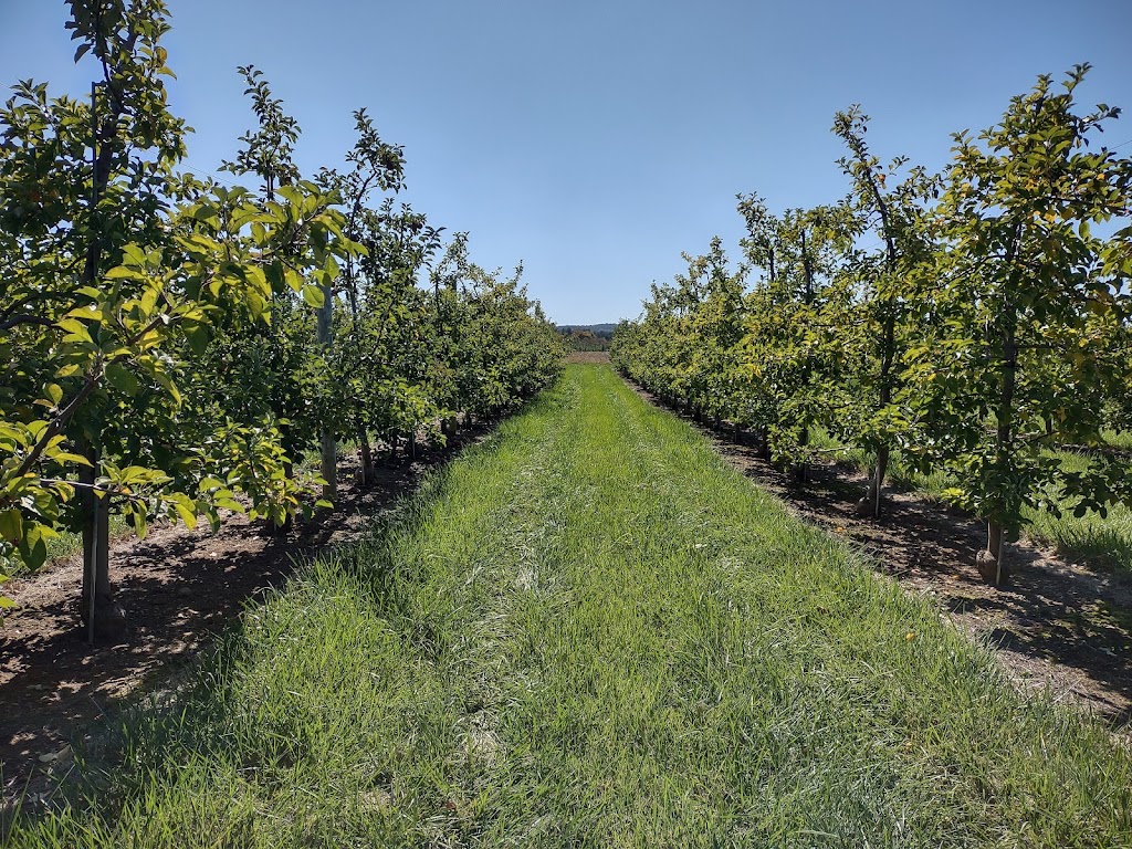Melicks Town Farm - Califon Orchards | 472 County Rd 513, Califon, NJ 07830, USA | Phone: (908) 832-2905