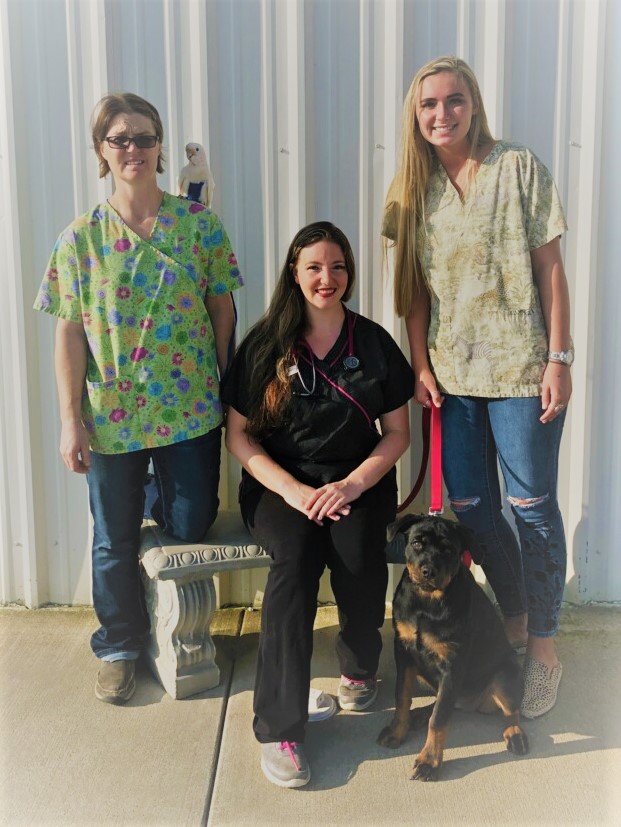 Chelsea Veterinary Clinic | 21999 E 340 Rd, Chelsea, OK 74016, USA | Phone: (918) 789-2541