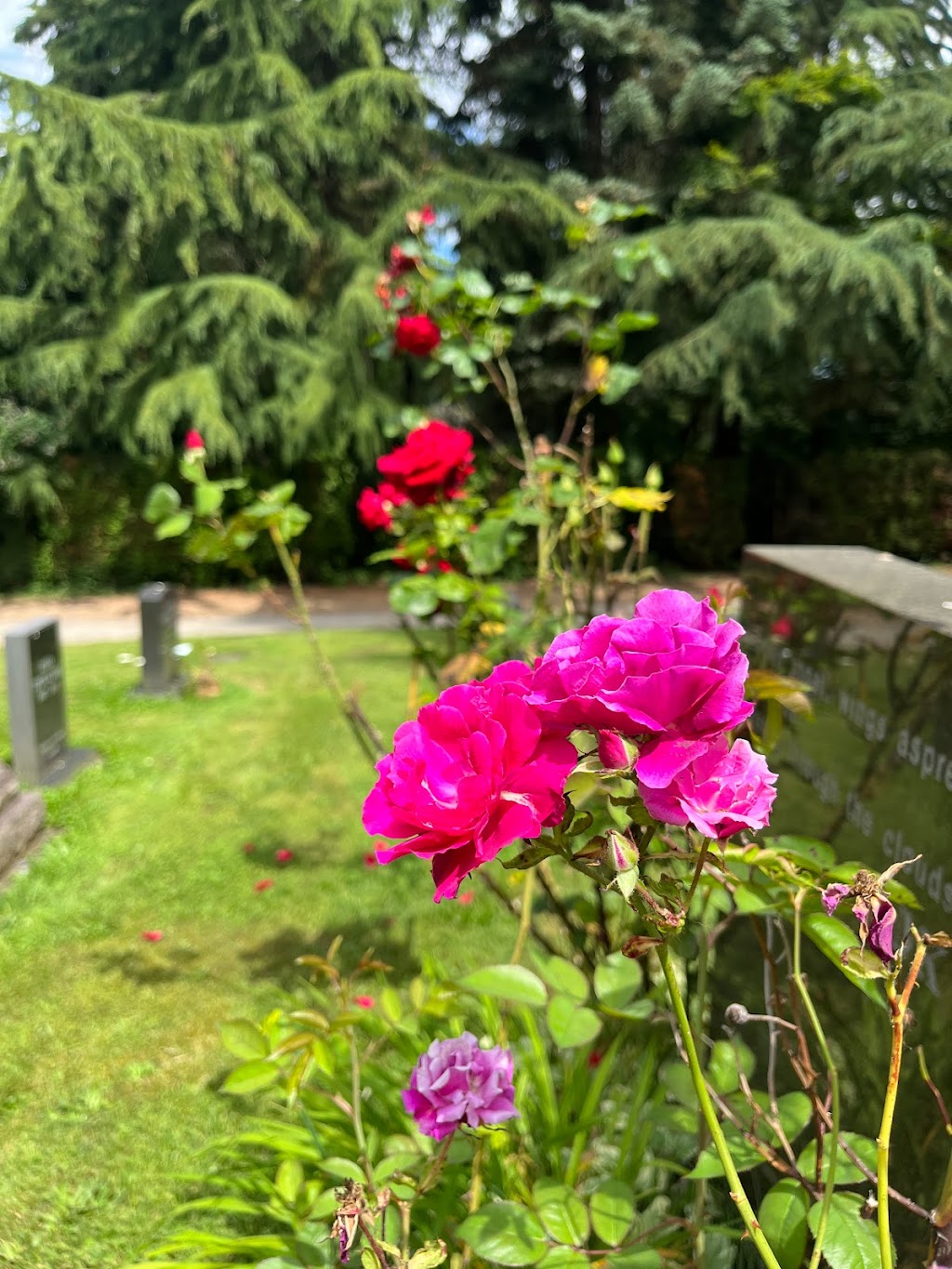 Kirkland Cemetery | 8100 122nd Ave NE, Kirkland, WA 98033, USA | Phone: (425) 587-3140