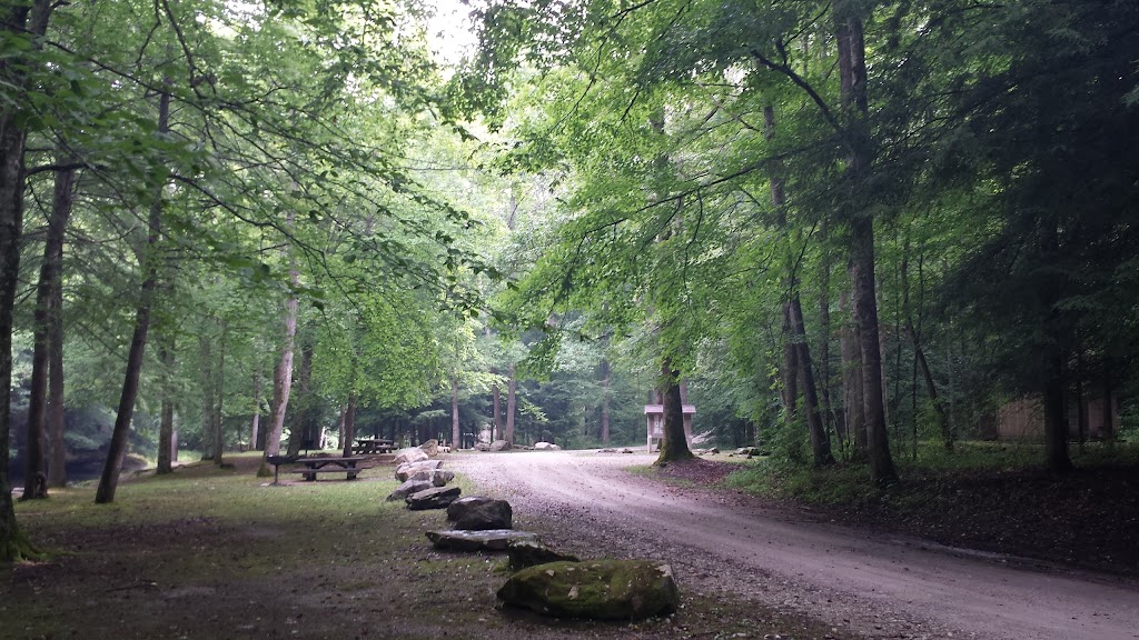 Turkey Foot Campground | Forest Service Road 345, McKee, KY 40447, USA | Phone: (606) 864-4163