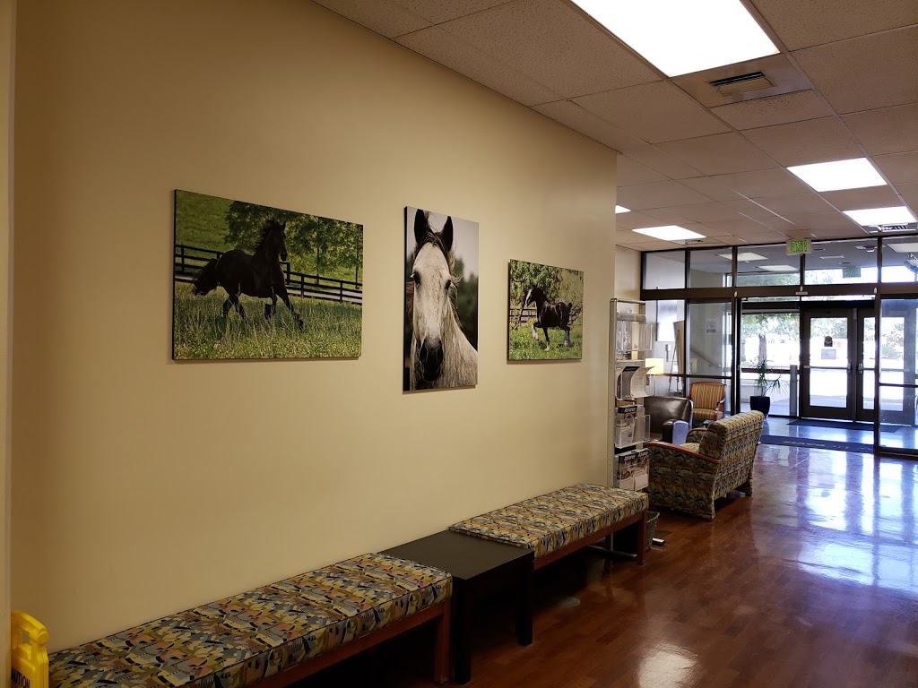 UC Davis Veterinary Hospital | Visitor Parking Lot 50, Veterinary Medicine Dr, Davis, CA 95616, USA | Phone: (530) 752-1393