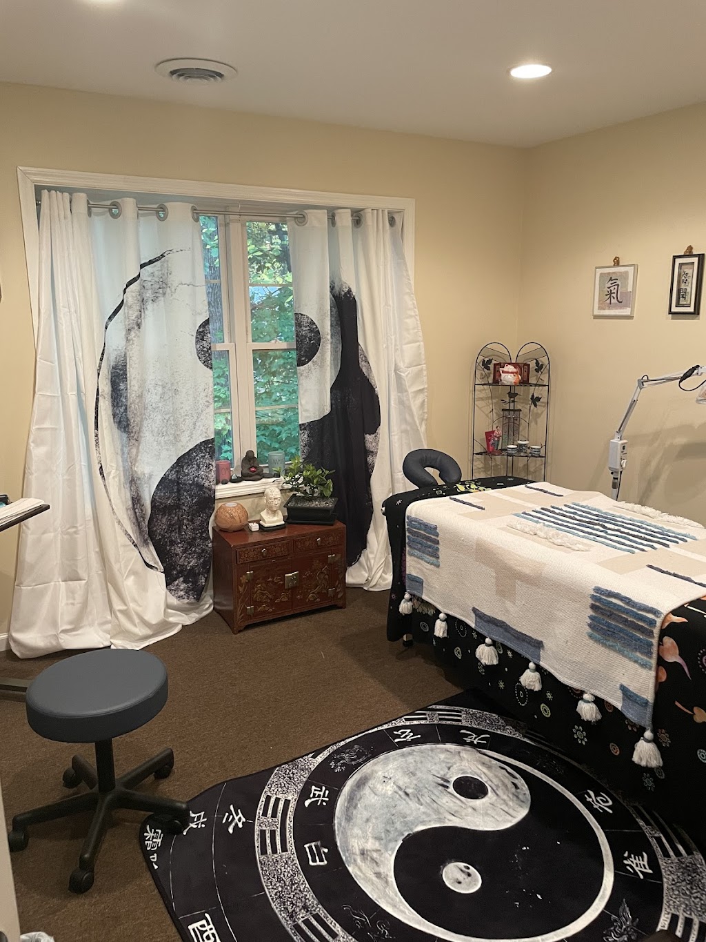 Dr. Alex Acupuncture WorX | 306b Grooms Rd, Clifton Park, NY 12065, USA | Phone: (518) 541-4003