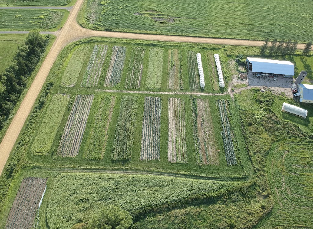 Clover Bee Vegetable Farm | 35145 Reed Ave, Shafer, MN 55074, USA | Phone: (952) 261-3312