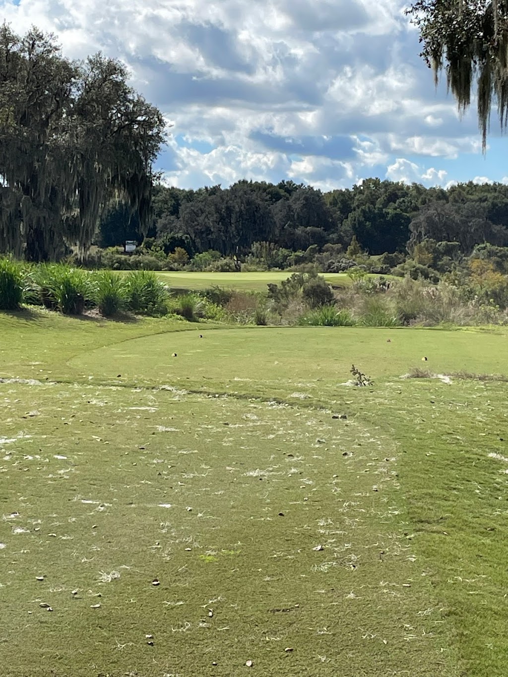 RedTail Golf Club | 26026 Member Ln, Sorrento, FL 32776, USA | Phone: (352) 383-2700