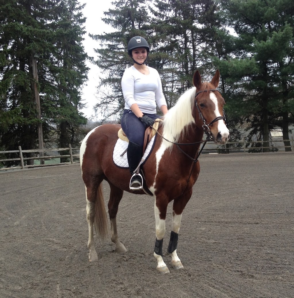 Spring Valley Stables Inc | 212 Warrendale Rd, Mars, PA 16046, USA | Phone: (724) 625-9003