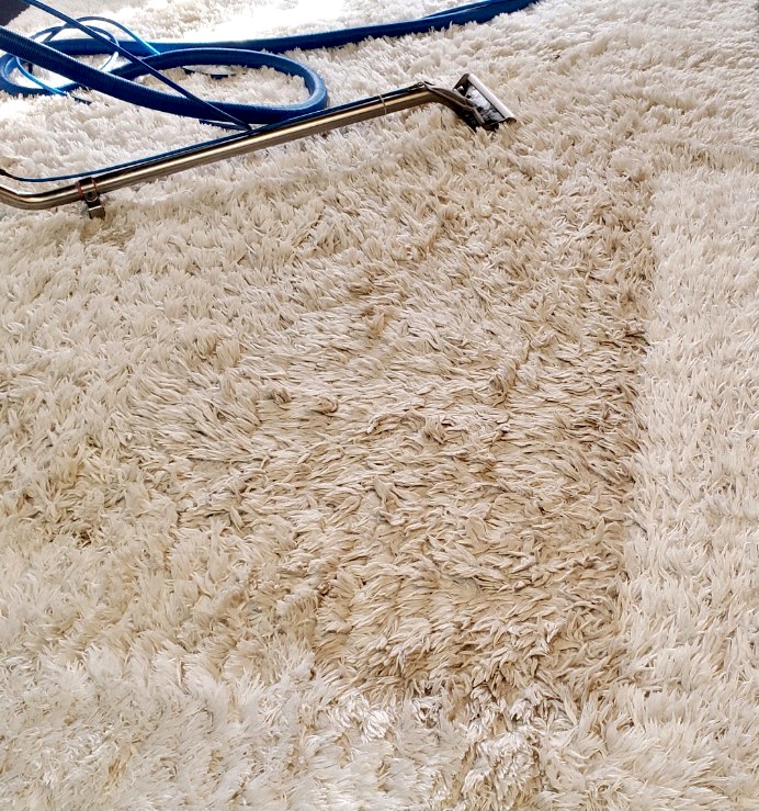 Gemini Carpet Cleaning | 2344 S 13th St #2, Lincoln, NE 68502, USA | Phone: (402) 477-6868