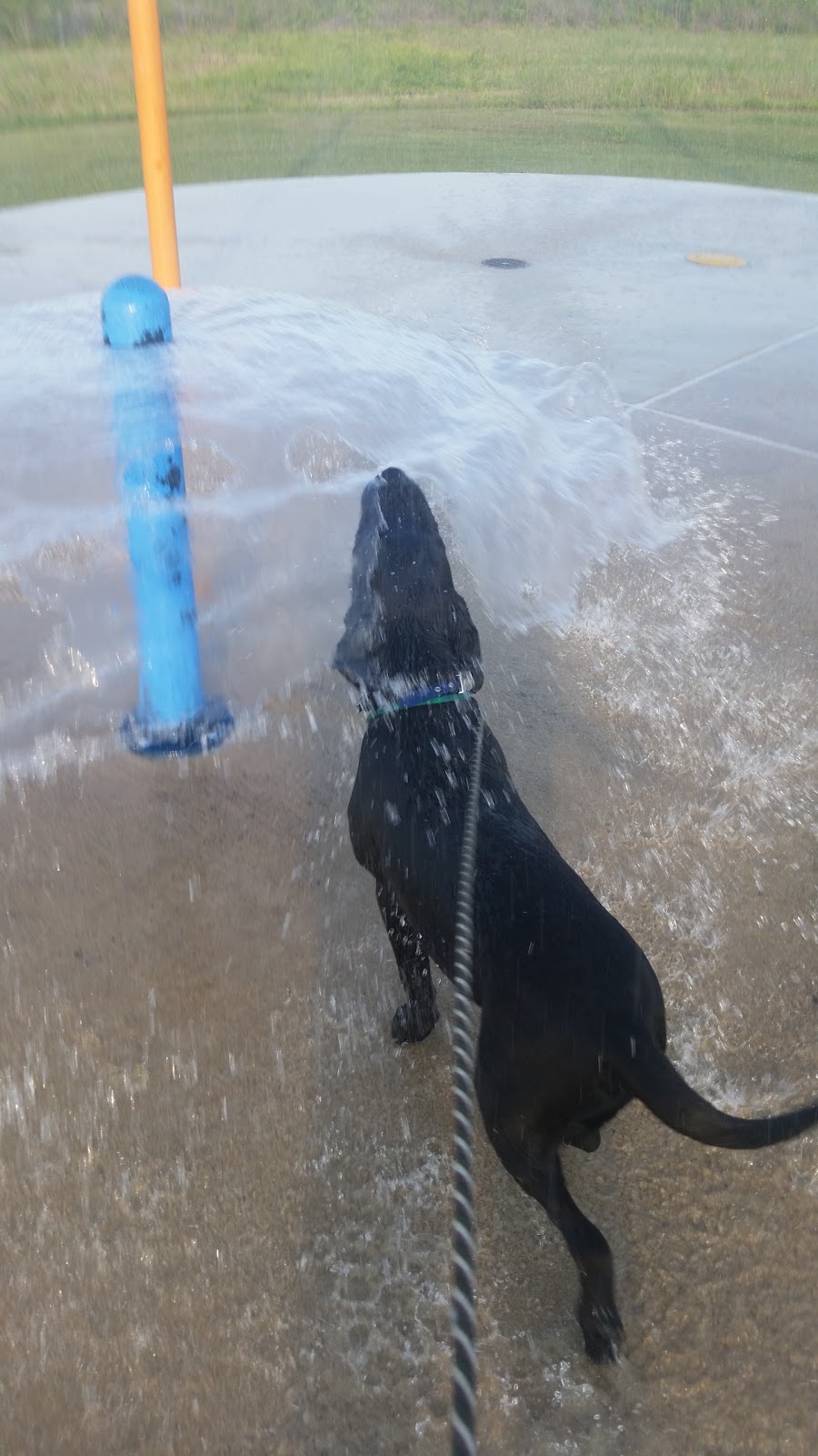 Glenwood Splash Pad | 101 Fishbaugh Ln, Hutto, TX 78634, USA | Phone: (512) 759-4000