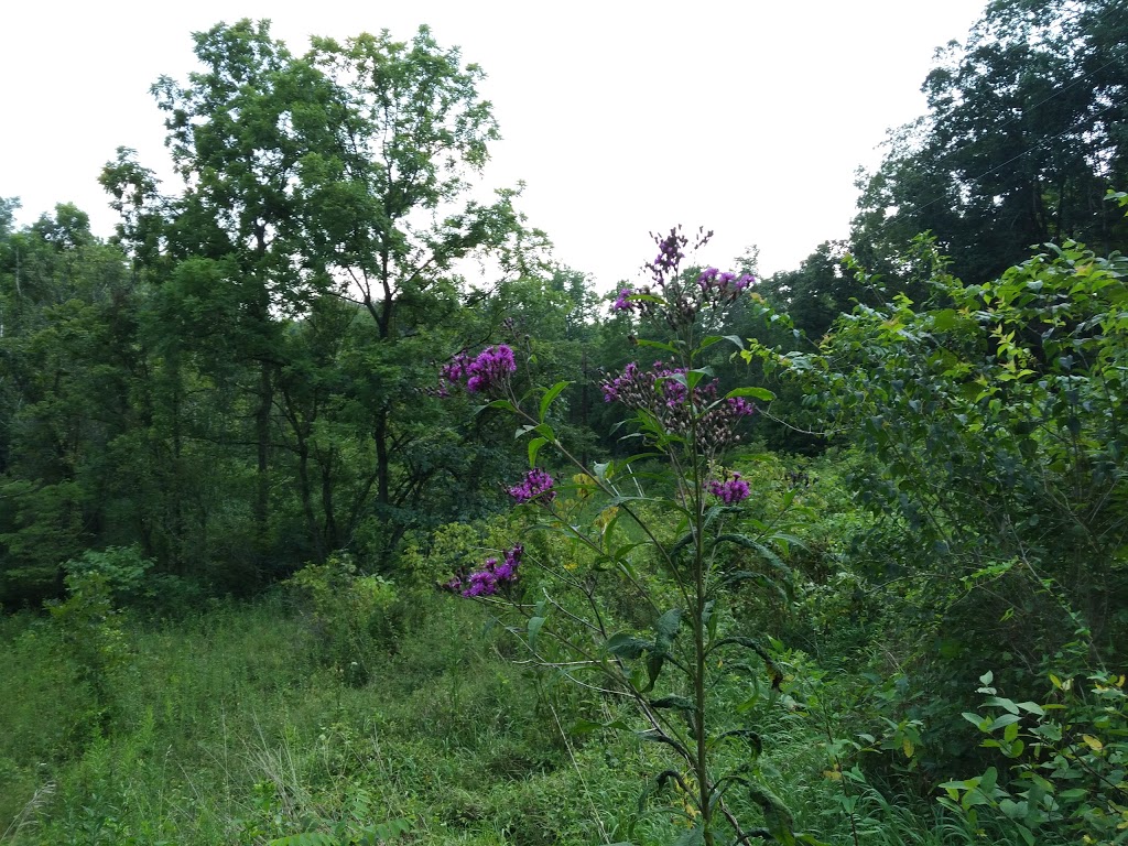 Gunpowder Creek Nature Park | 6750 Sperti Ln, Burlington, KY 41005, USA | Phone: (859) 334-2117