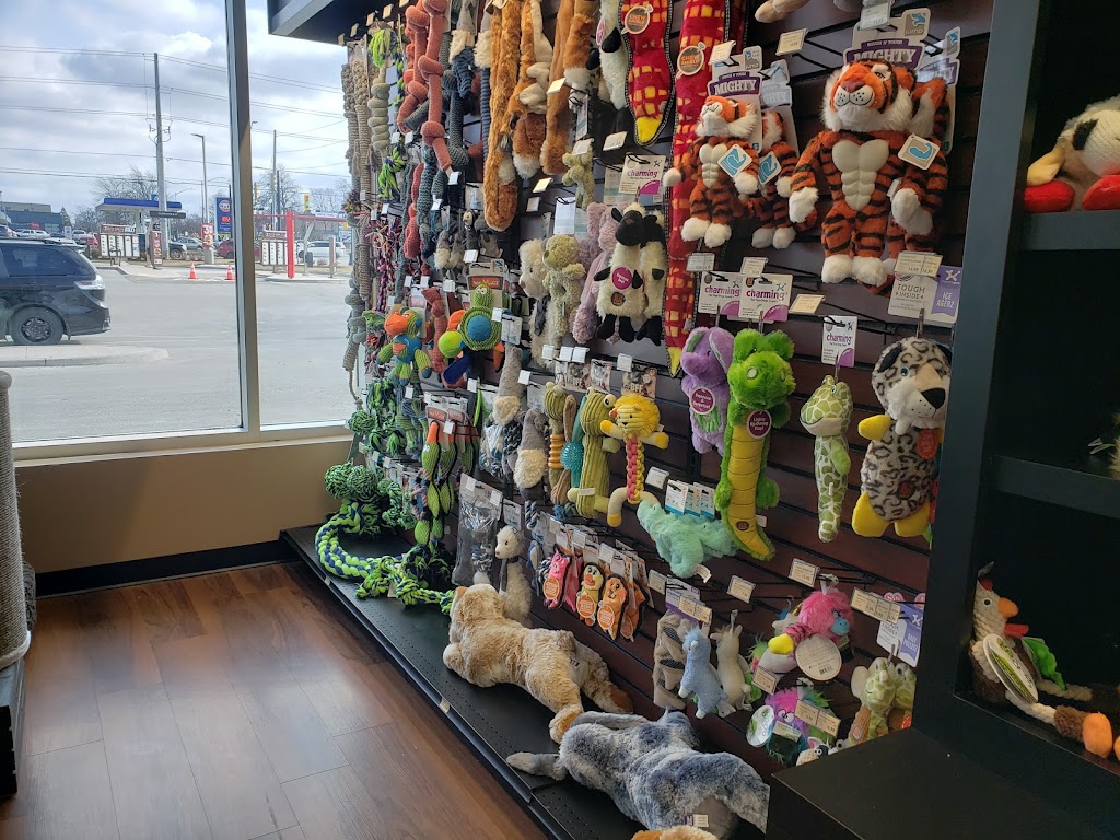 Pet Valu | 8279 Lundys Ln, Niagara Falls, ON L2H 1H5, Canada | Phone: (905) 358-3717