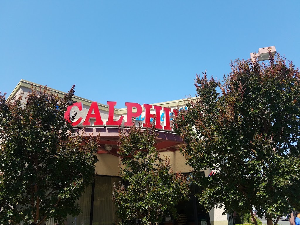 Calphin Swim Academy | 34075 Fremont Blvd, Fremont, CA 94555, USA | Phone: (510) 790-7946