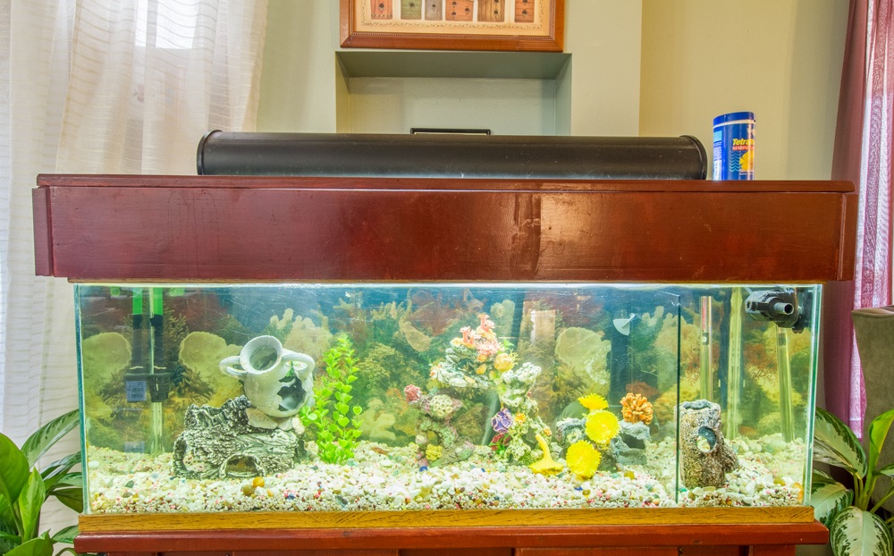 Bentley Manor by SCH | 3425 McLaughlin Ave, Los Angeles, CA 90066, USA | Phone: (213) 478-0800