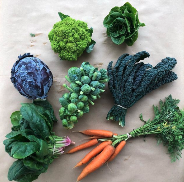 Middle Ground Farm | 186 Howard Ln, Bastrop, TX 78602, USA | Phone: (361) 317-2433