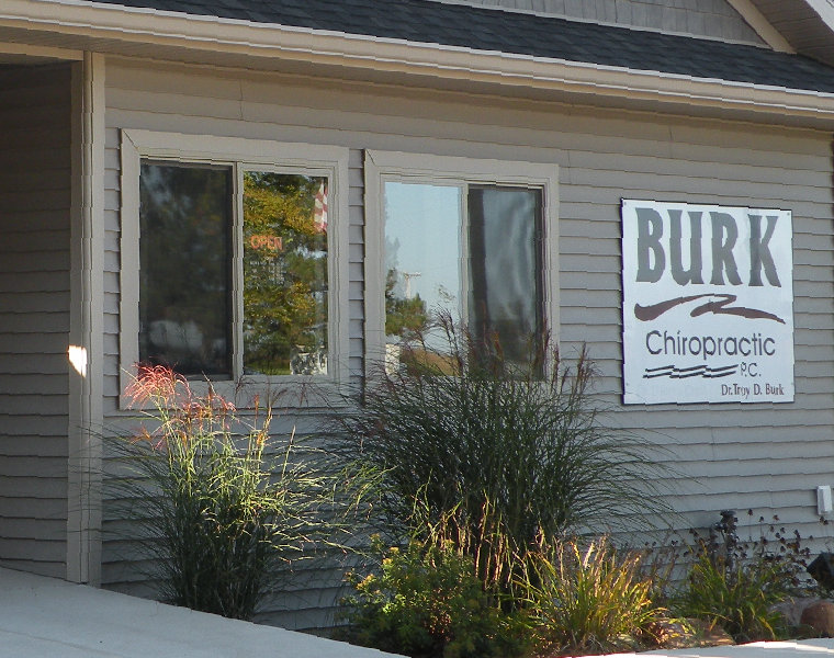 Burk Chiropractic | 453 Marshall St, Brooklyn, MI 49230, USA | Phone: (517) 592-6663