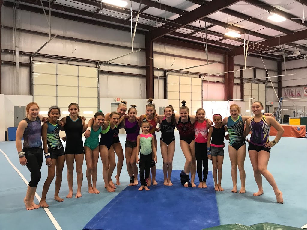 Metro Stars Gymnastics | 11153 Cumberland Dr, Papillion, NE 68046, USA | Phone: (402) 505-7600