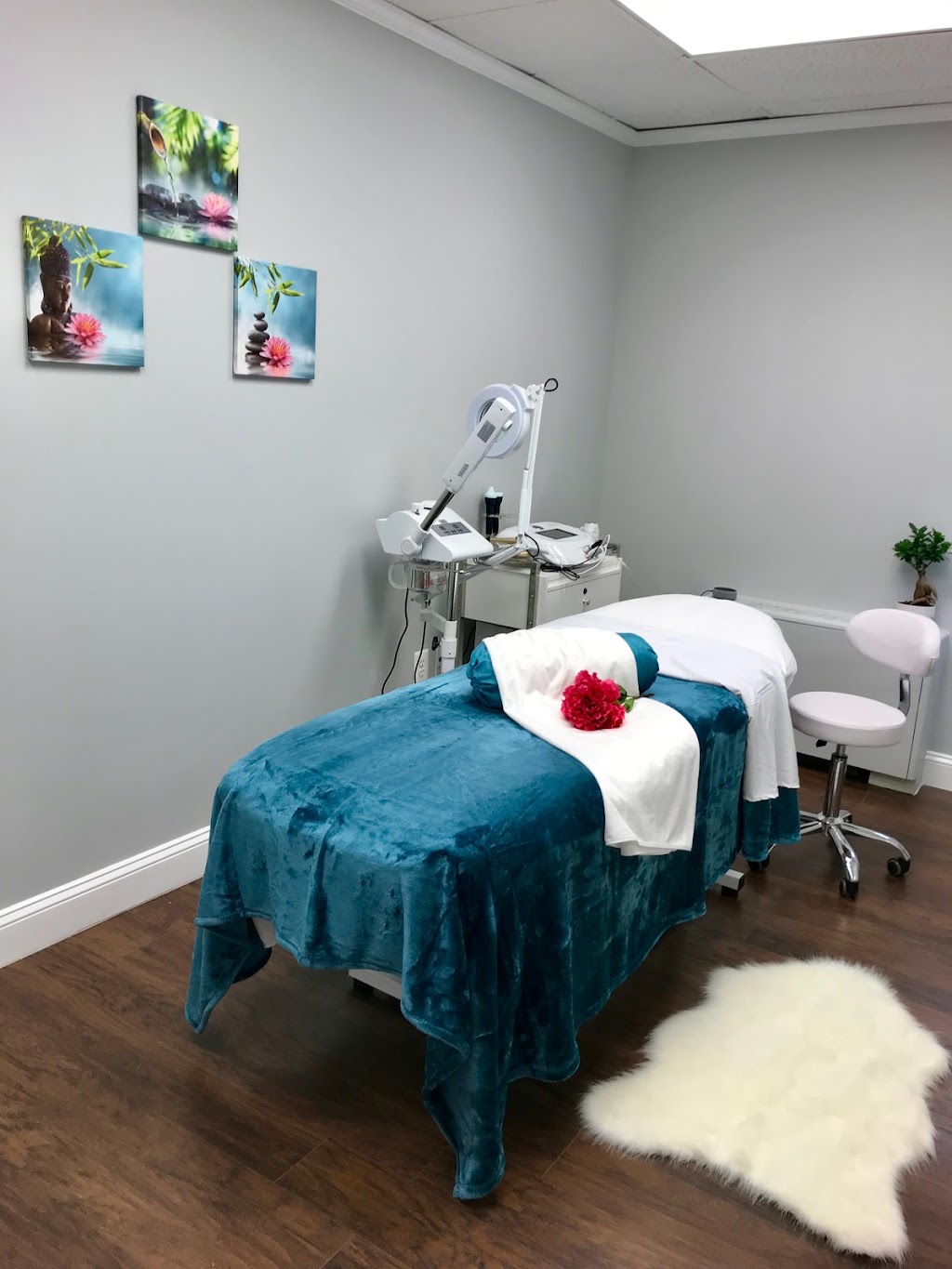 Lily SkinCare and Laser Clinic | 226 Maple Ave W Suite 302, Vienna, VA 22180, USA | Phone: (703) 774-8507