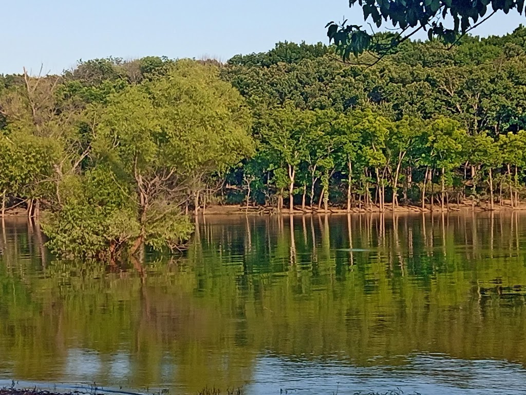 Taylor Ferry South | Taylor Ferry South Recreation Area, Wagoner, OK 74467, USA | Phone: (918) 485-4792