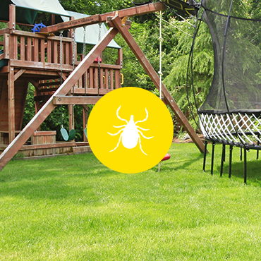 Garden State Mosquito & Tick | 16 Glenwood Dr, Tinton Falls, NJ 07724 | Phone: (848) 888-2560