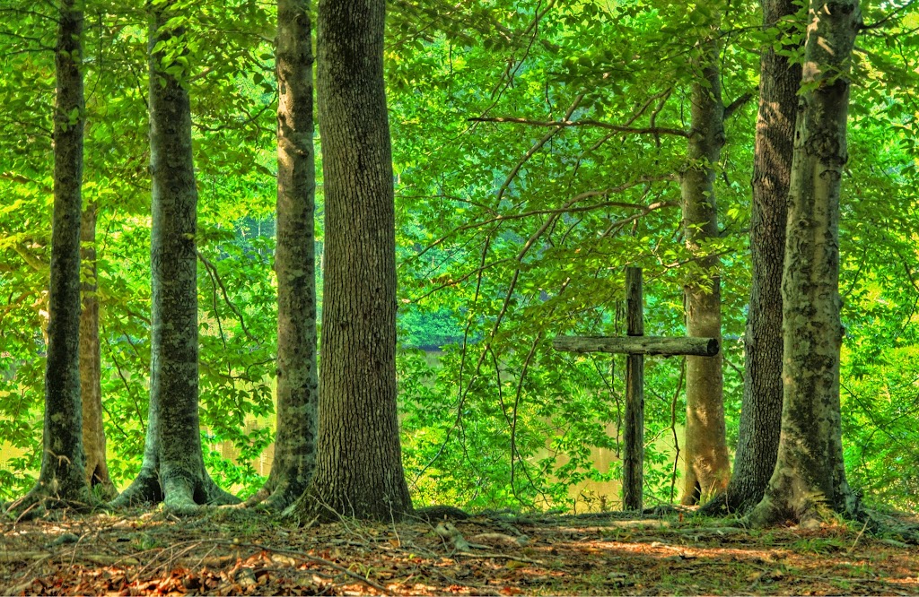 EcoEternity Forest at Makemie Woods Cemetery | 3700 Ropers Church Rd, Lanexa, VA 23089, USA | Phone: (888) 435-1869