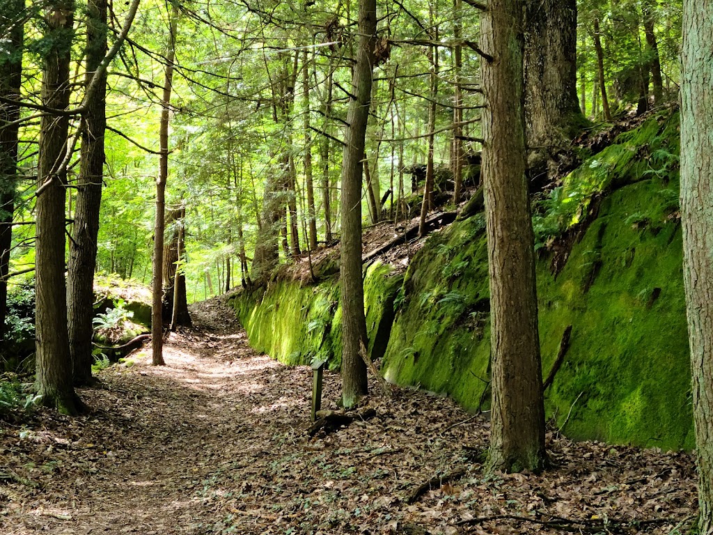 Wahkeena Nature Preserve | 2200 Pump Station Rd SE, Sugar Grove, OH 43155, USA | Phone: (800) 297-1883