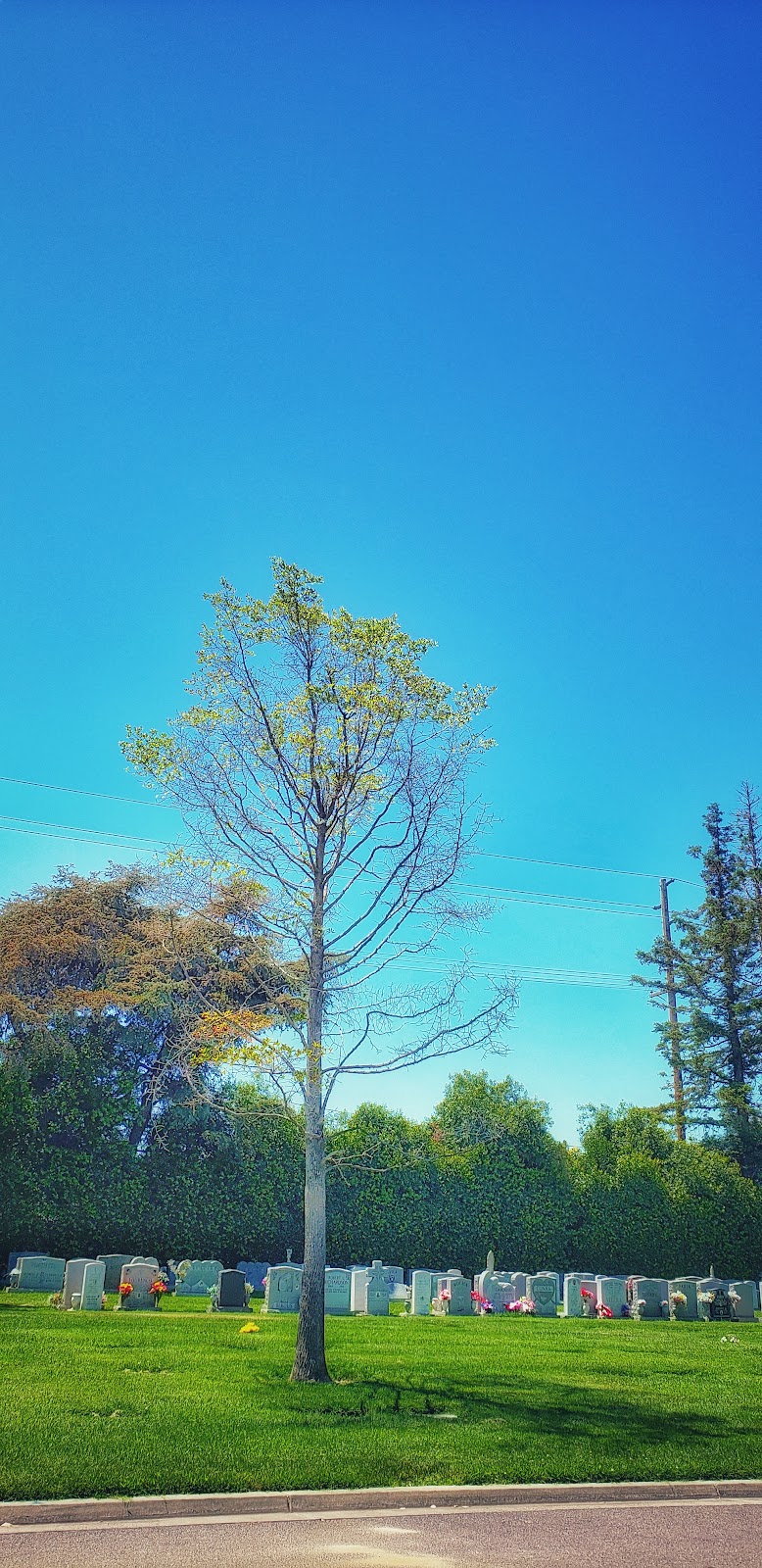 Turlock Memorial Park | 575 N Soderquist Rd, Turlock, CA 95380, USA | Phone: (209) 632-9111