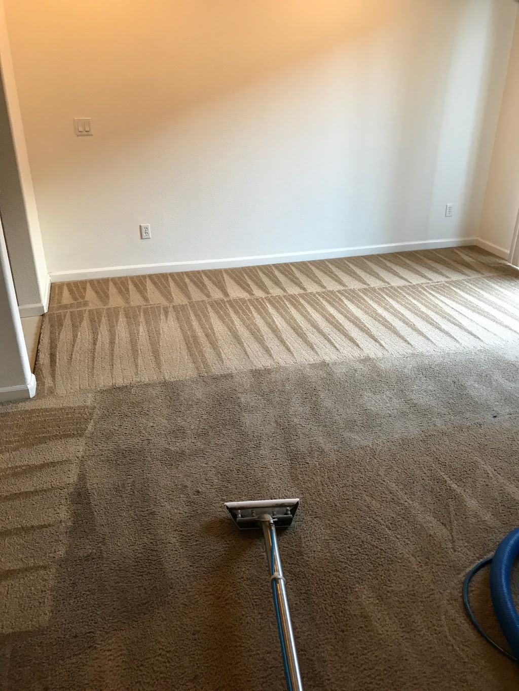 Dependable Carpet Cleaning | 10 Terri Ct, Oakley, CA 94561, USA | Phone: (925) 516-0911