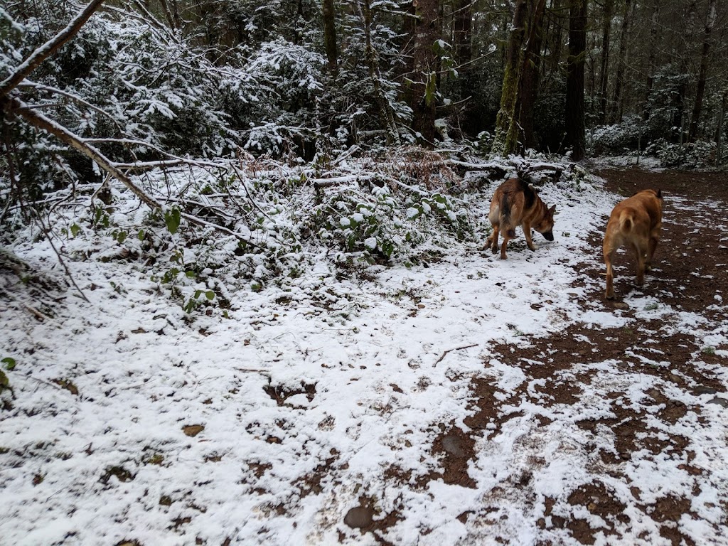 Rotary Bark Park | 10100 Bujacich Rd, Gig Harbor, WA 98332, USA | Phone: (253) 858-3400