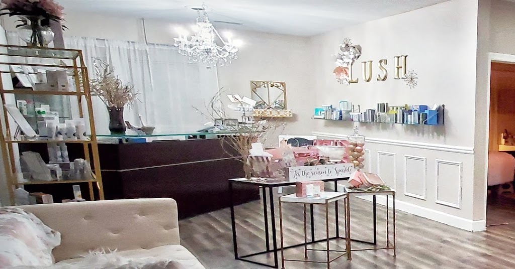 Lush Aesthetics Lash & Hair | 60 Gailwood Dr Suite A, St Peters, MO 63376, USA | Phone: (636) 445-5874