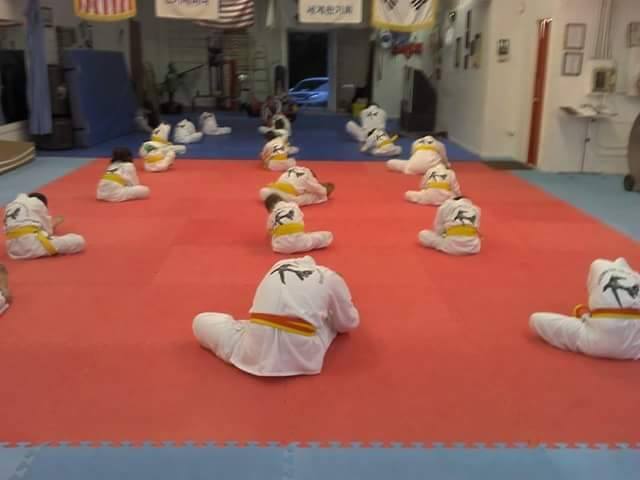 Virginia Tae Kwon Do Institute LLC | 2203 Boulevard, Colonial Heights, VA 23834, USA | Phone: (804) 520-2290