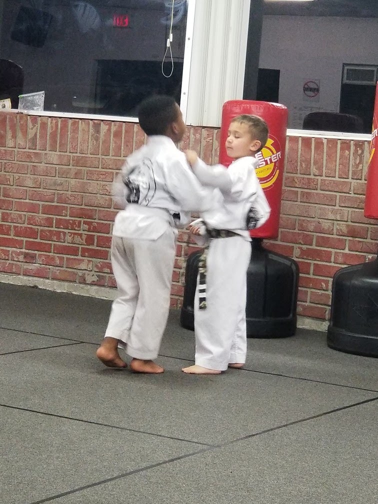 U S Tae Kwon Do Hapkido Martial Arts | 905 N Kingsway Rd, Seffner, FL 33584, USA | Phone: (813) 651-4006