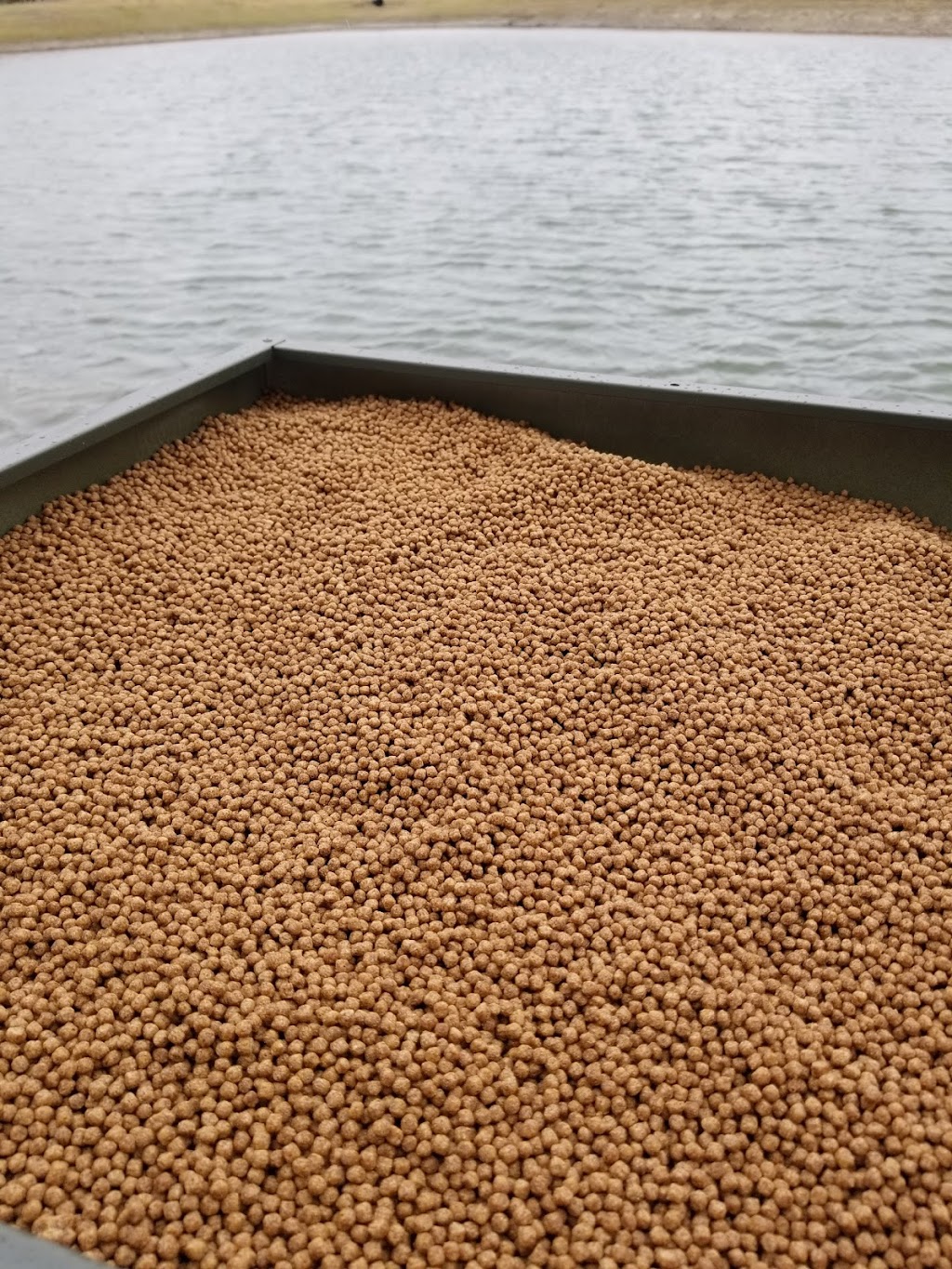 Texas Fishing LLC | 5490 FM 36, Caddo Mills, TX 75135, USA | Phone: (888) 976-9464