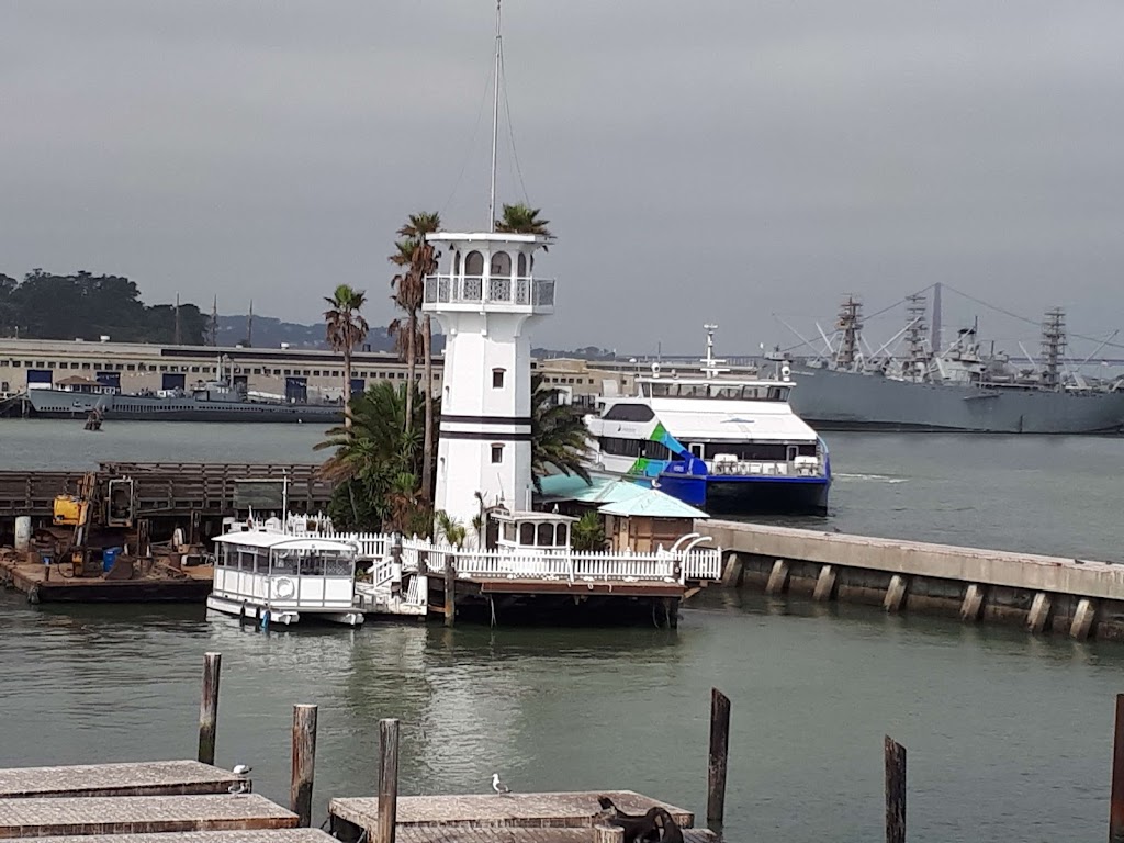 SF Bay Whale Watching | Pier 39, Beach St, San Francisco, CA 94133, USA | Phone: (415) 331-6267