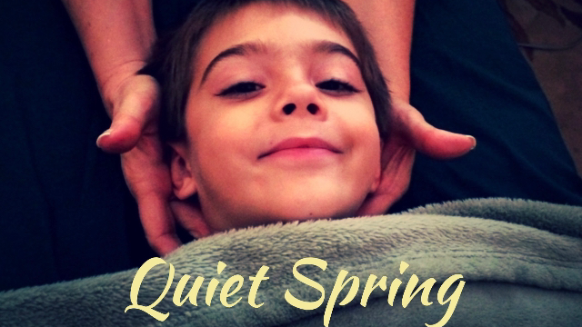 Quiet Spring Bodywork and Massage | 2760 Daniel St, Clearwater, FL 33761, USA | Phone: (727) 797-0874