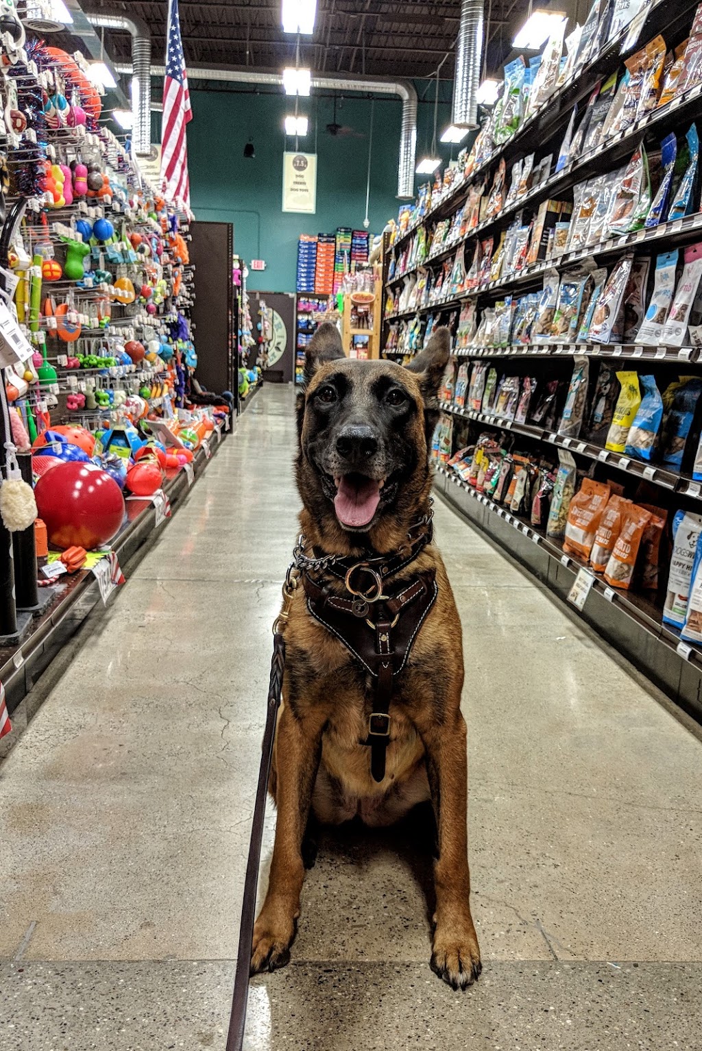 Premier Pet Supply | 15399 Merriman Rd, Livonia, MI 48154, USA | Phone: (734) 855-4505