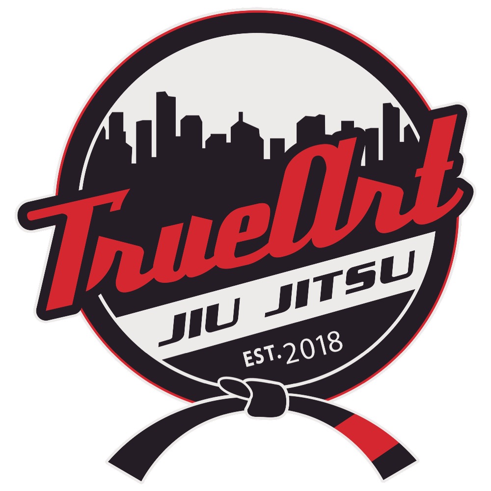 True Art Jiu Jitsu | 2855 W Market St #218, Fairlawn, OH 44333, USA | Phone: (330) 983-9199