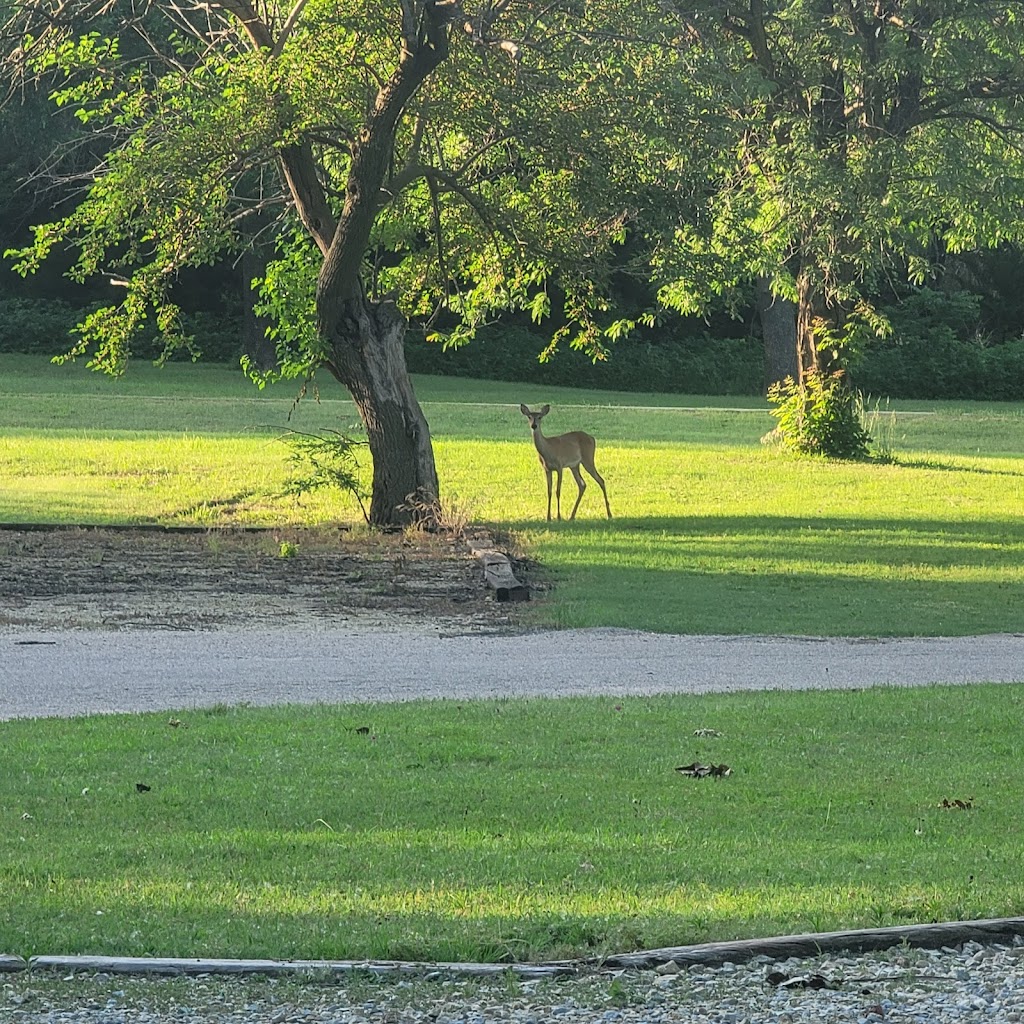 Smarsh Creek Campground | Pretty Prairie, KS 67570 | Phone: (316) 542-3664