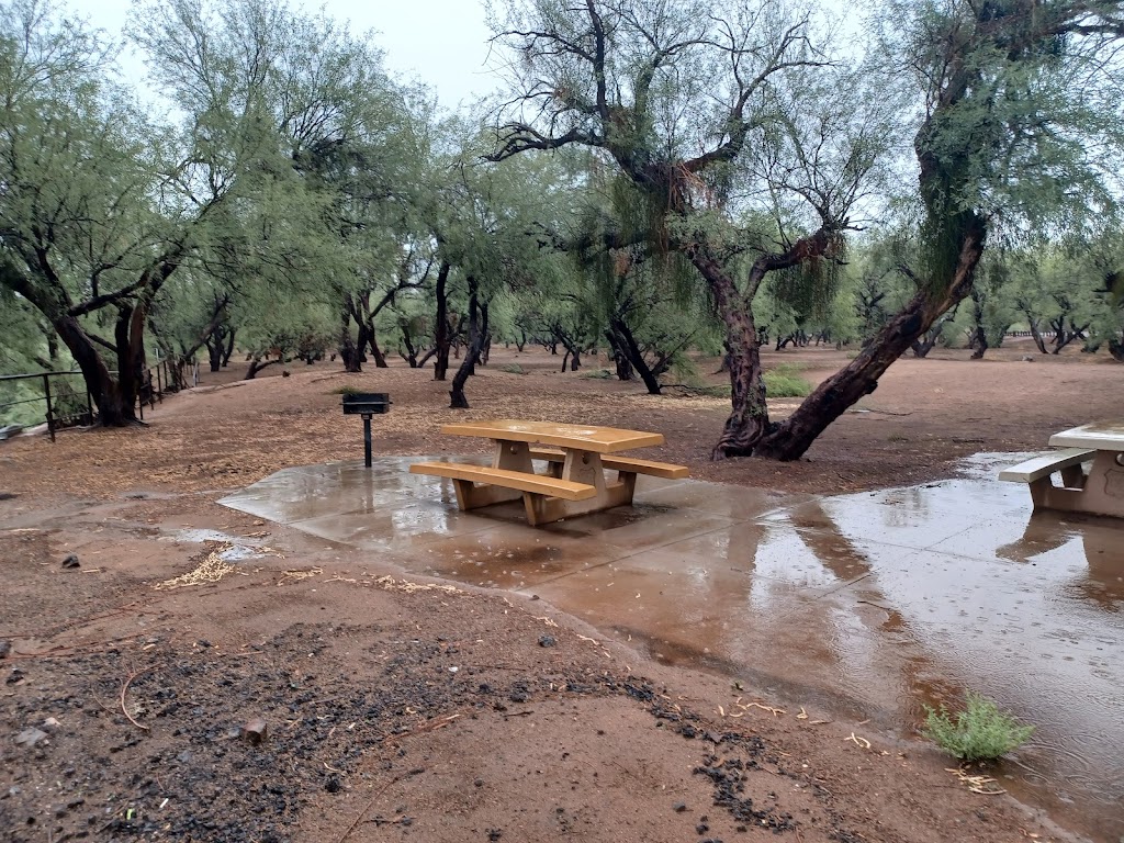 Coon Bluff Recreation Area | Coon Bluff Rd, Mesa, AZ 85215, USA | Phone: (480) 610-3300