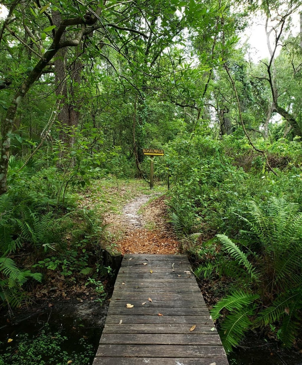 Upper Pithlachascotee River Preserve | 17135 Minneola Dr, Spring Hill, FL 34610, USA | Phone: (727) 847-8140