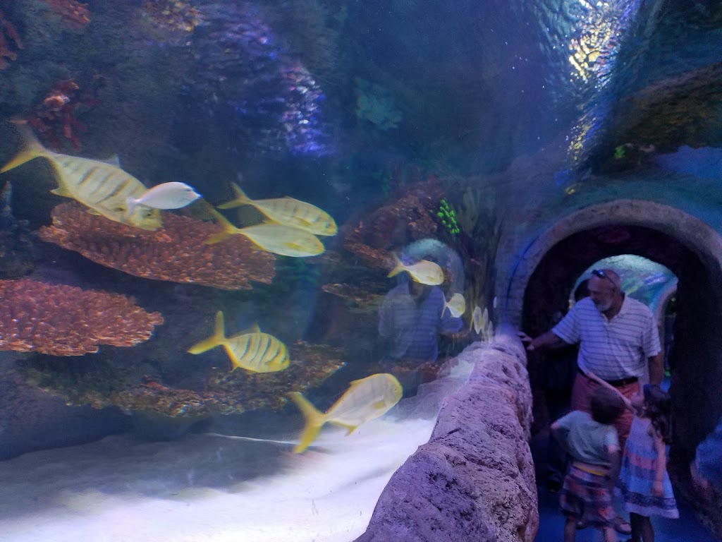 VIA Aquarium | 93 W Campbell Rd, Schenectady, NY 12306, USA | Phone: (518) 280-5100