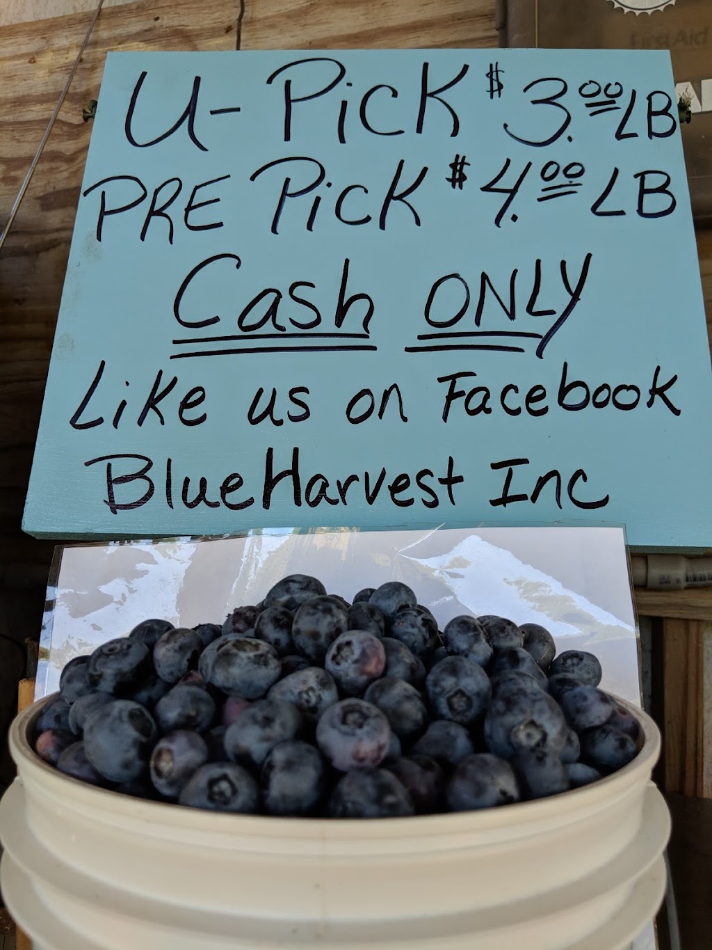 Blue Harvest Inc. | 12954 Hudson Ave, Hudson, FL 34669, USA | Phone: (727) 207-1176