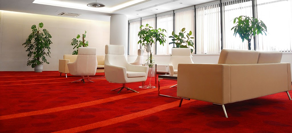 Power Carpet Cleaning | 5030 NW 109th Ave, Sunrise, FL 33351, USA | Phone: (954) 989-5911