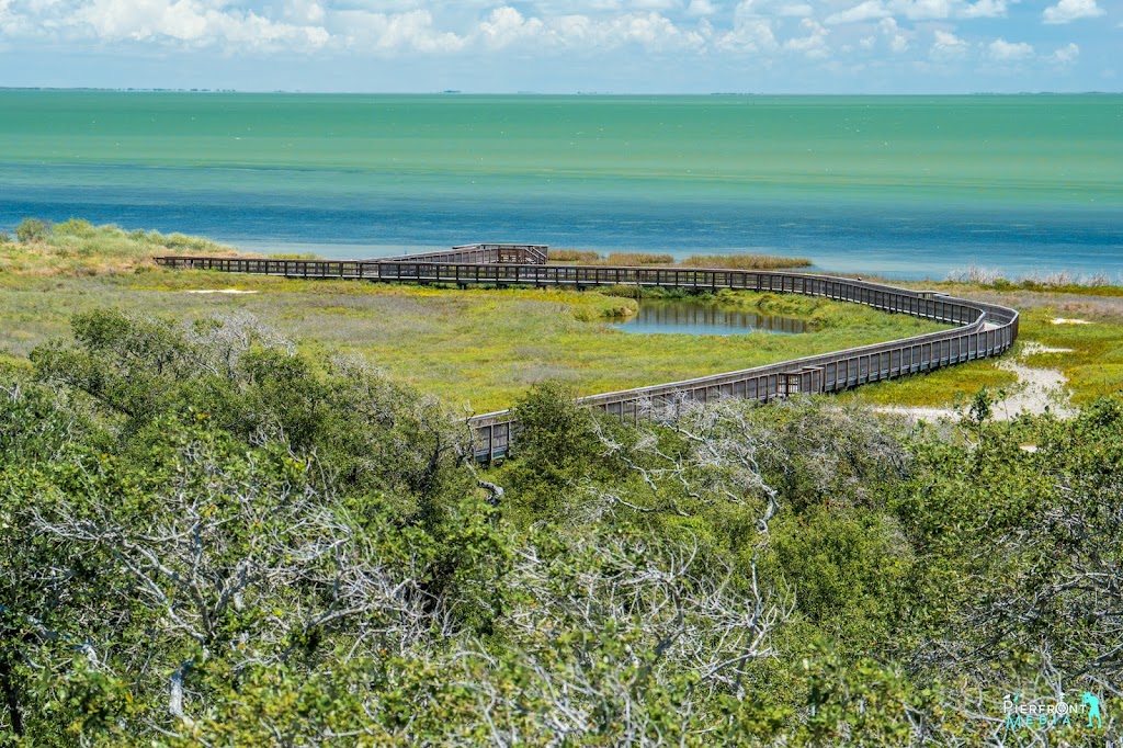 Aransas National Wildlife Refuge | 1 Wildlife Cir, Austwell, TX 77950, USA | Phone: (361) 349-1181