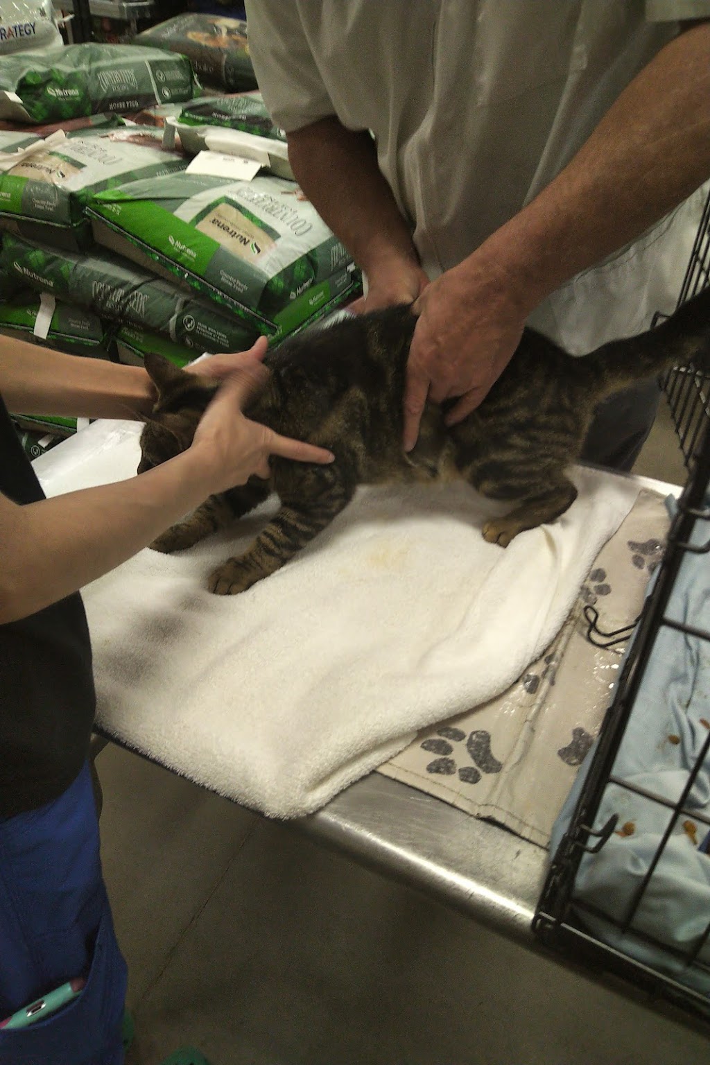 ProtectMyPet Vaccinations Clinic at Tractor Supply Co. | 115 Greystone Power Blvd, Dallas, GA 30157, USA | Phone: (770) 443-3352