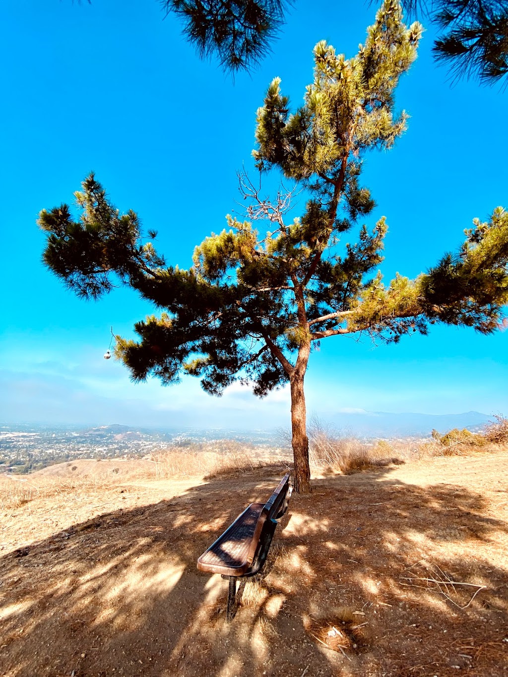 Sycamore Canyon Trail | Unnamed Road, San Dimas, CA 91773, USA | Phone: (909) 394-6272